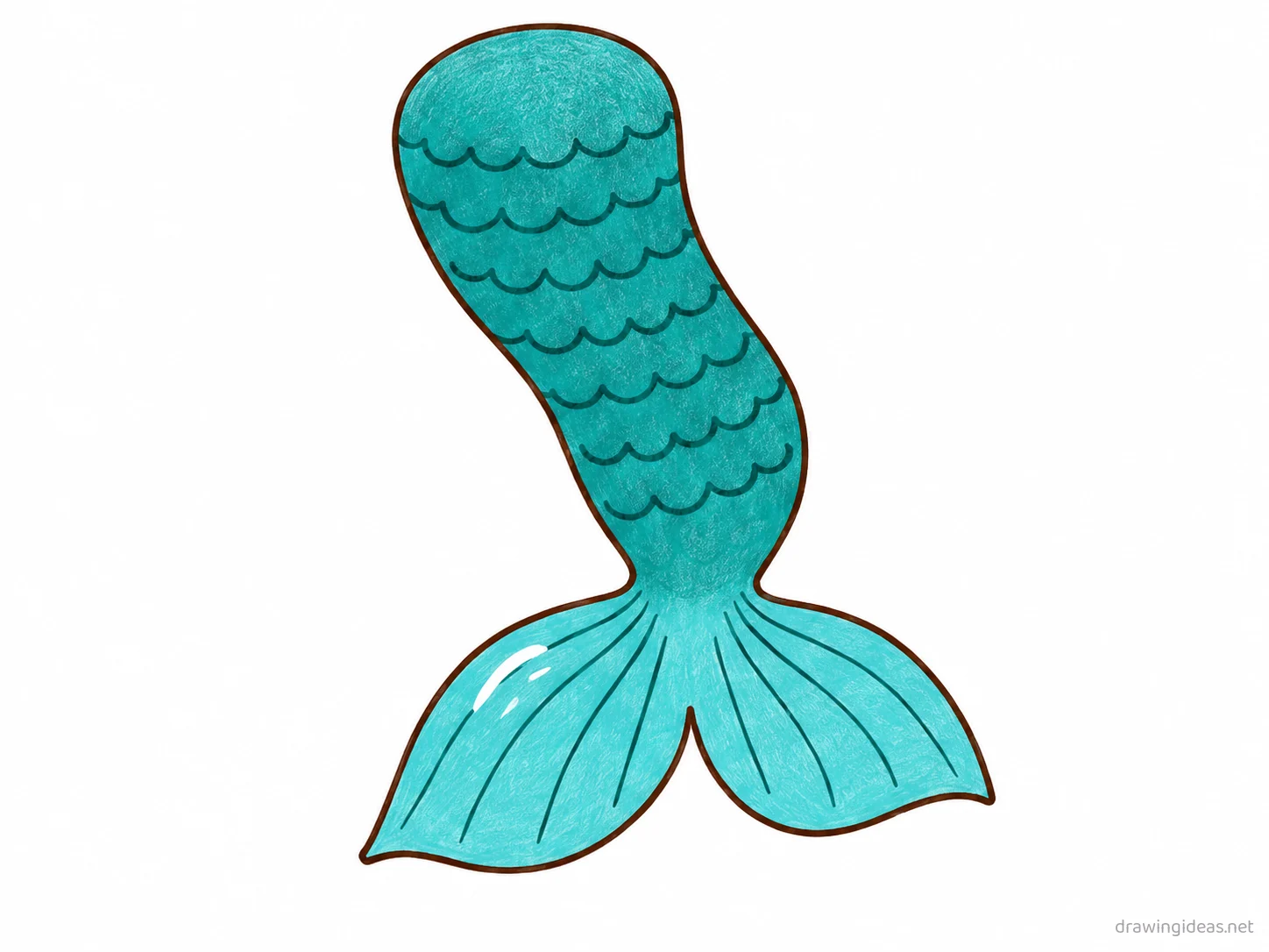 Mermaid Tail drawing — hand-drawn mermaid tail illustration with ink lines and soft colors