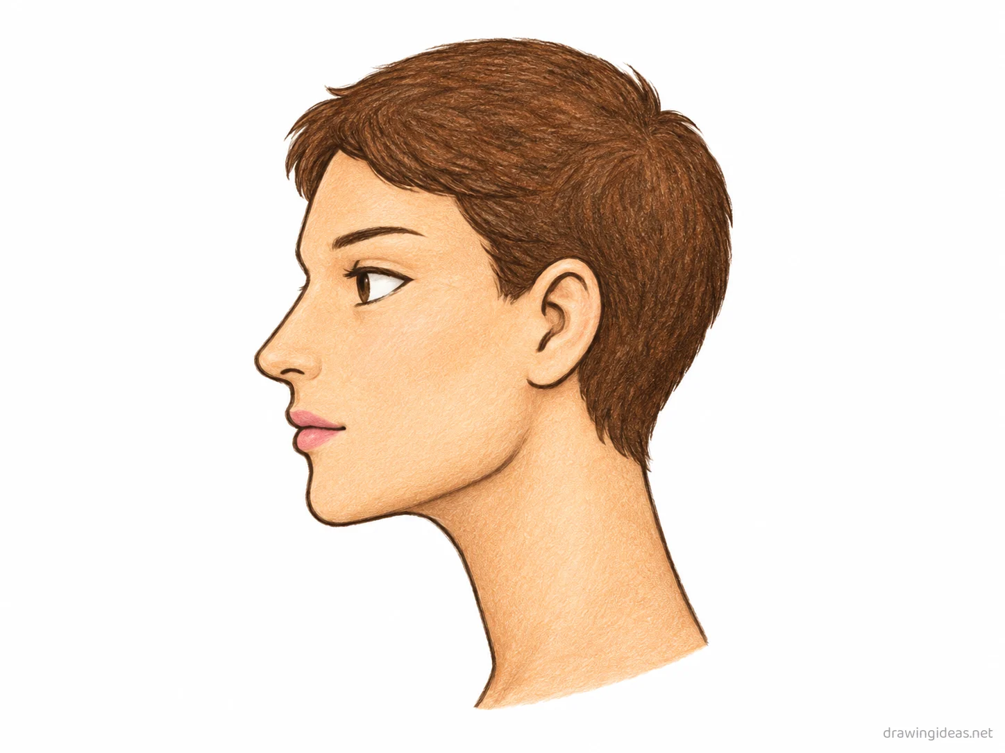 Mewing drawing — hand-drawn mewing illustration with ink lines and soft colors
