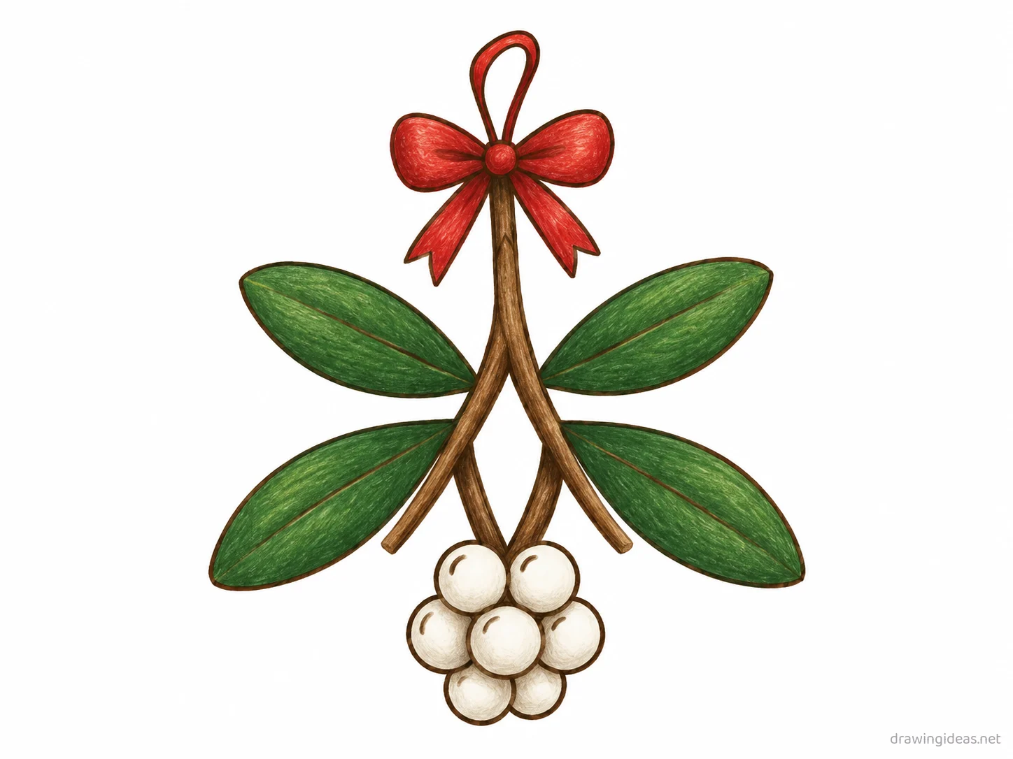 Mistletoe drawing — hand-drawn mistletoe illustration with ink lines and soft colors