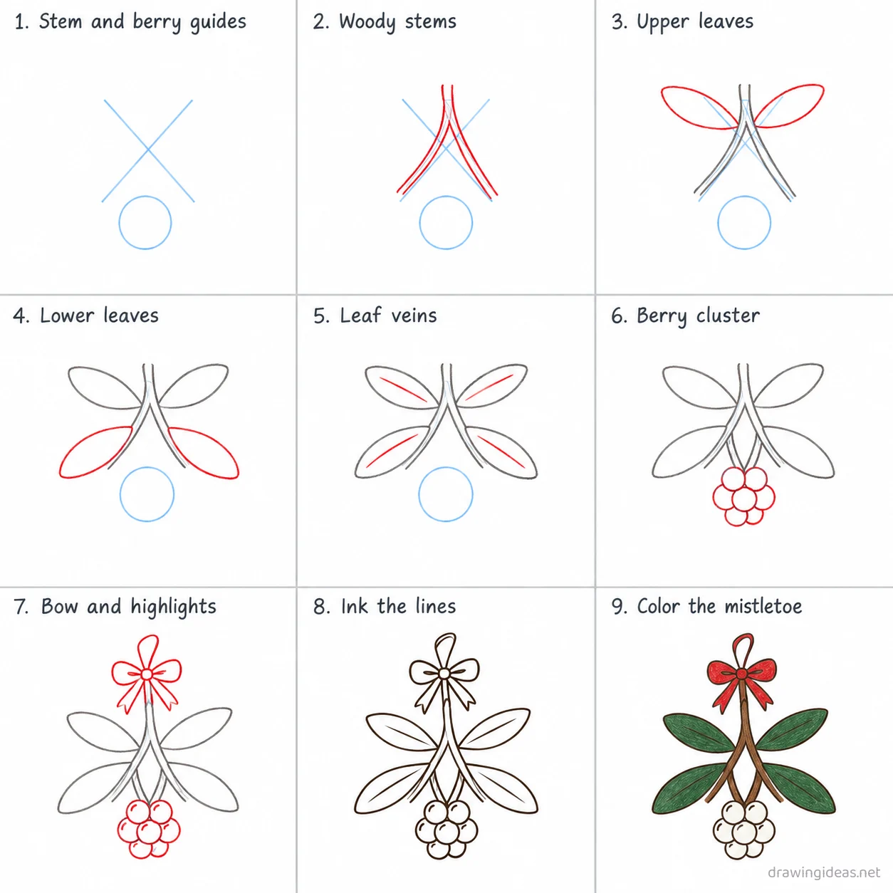 How to draw mistletoe step by step — 9-step mistletoe drawing tutorial sheet