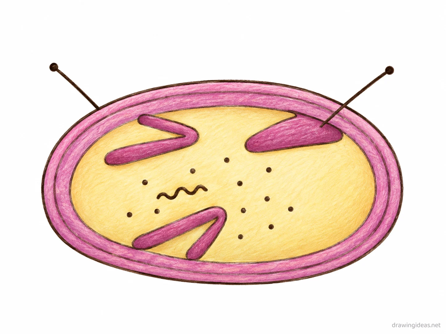 Mitochondria drawing — hand-drawn mitochondria illustration with ink lines and soft colors