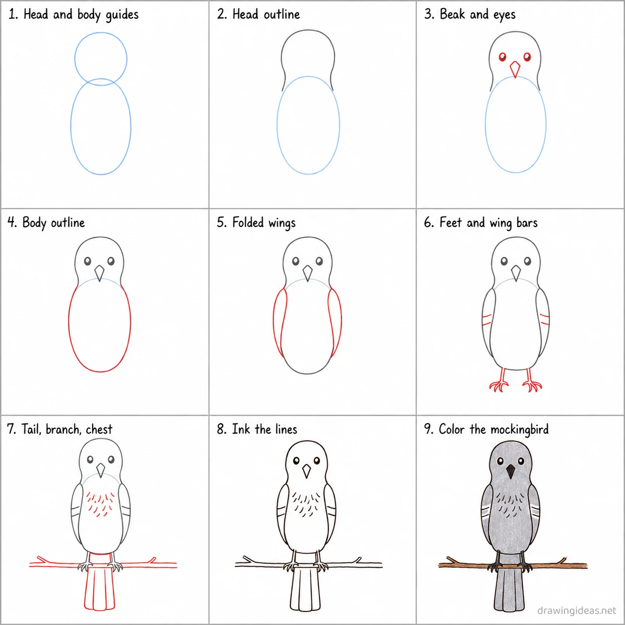 How to draw a mockingbird step by step — 9-step mockingbird drawing tutorial sheet