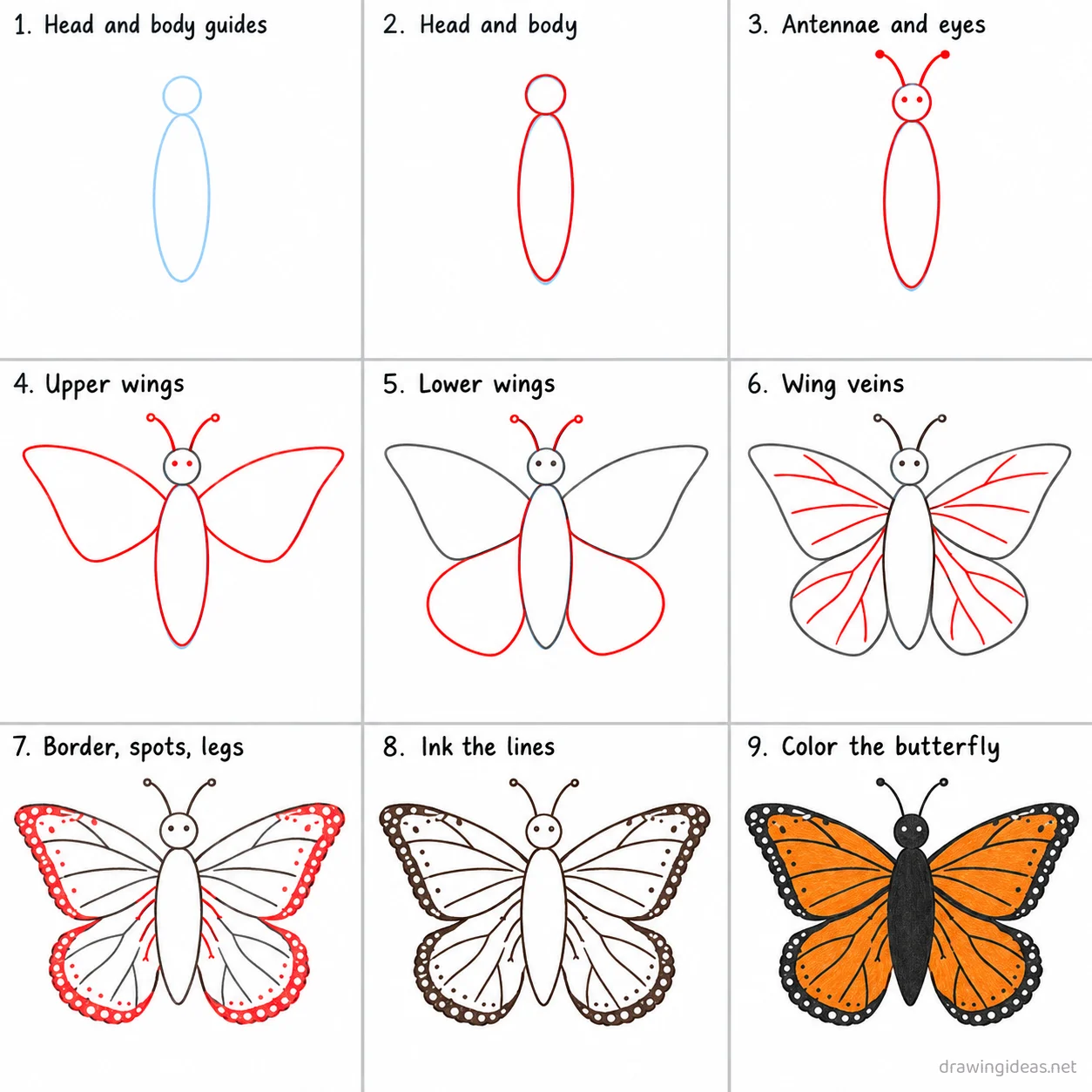 How to draw a monarch butterfly step by step — 9-step monarch butterfly drawing tutorial sheet
