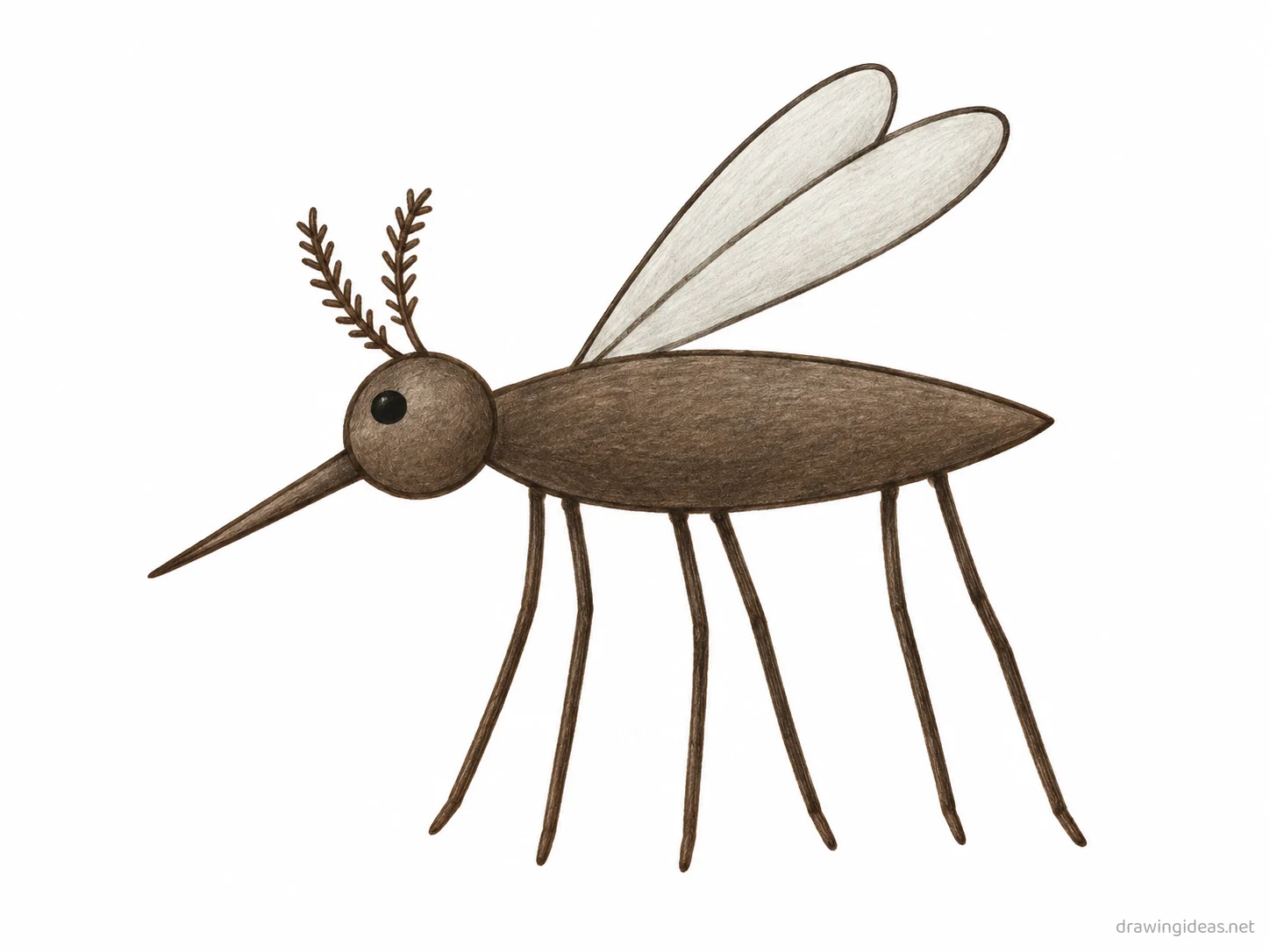 Mosquito drawing — hand-drawn mosquito illustration with ink lines and soft colors