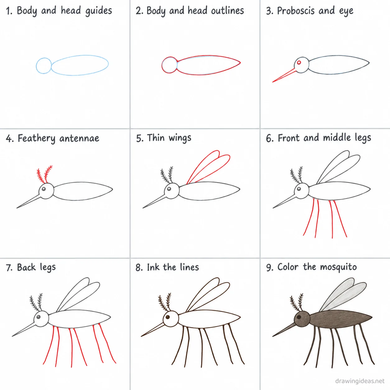 How to draw a mosquito step by step — 9-step mosquito drawing tutorial sheet
