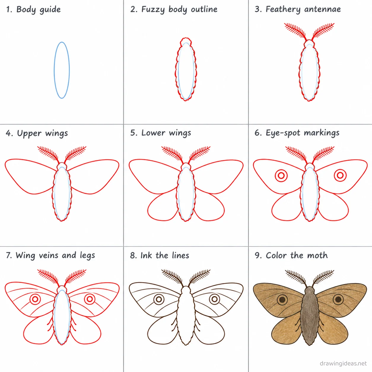 How to draw a moth step by step — 9-step moth drawing tutorial sheet