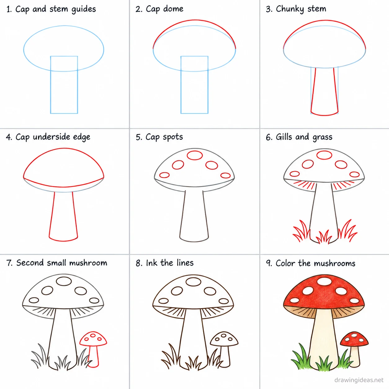 How to draw a mushroom step by step — 9-step mushroom drawing tutorial sheet