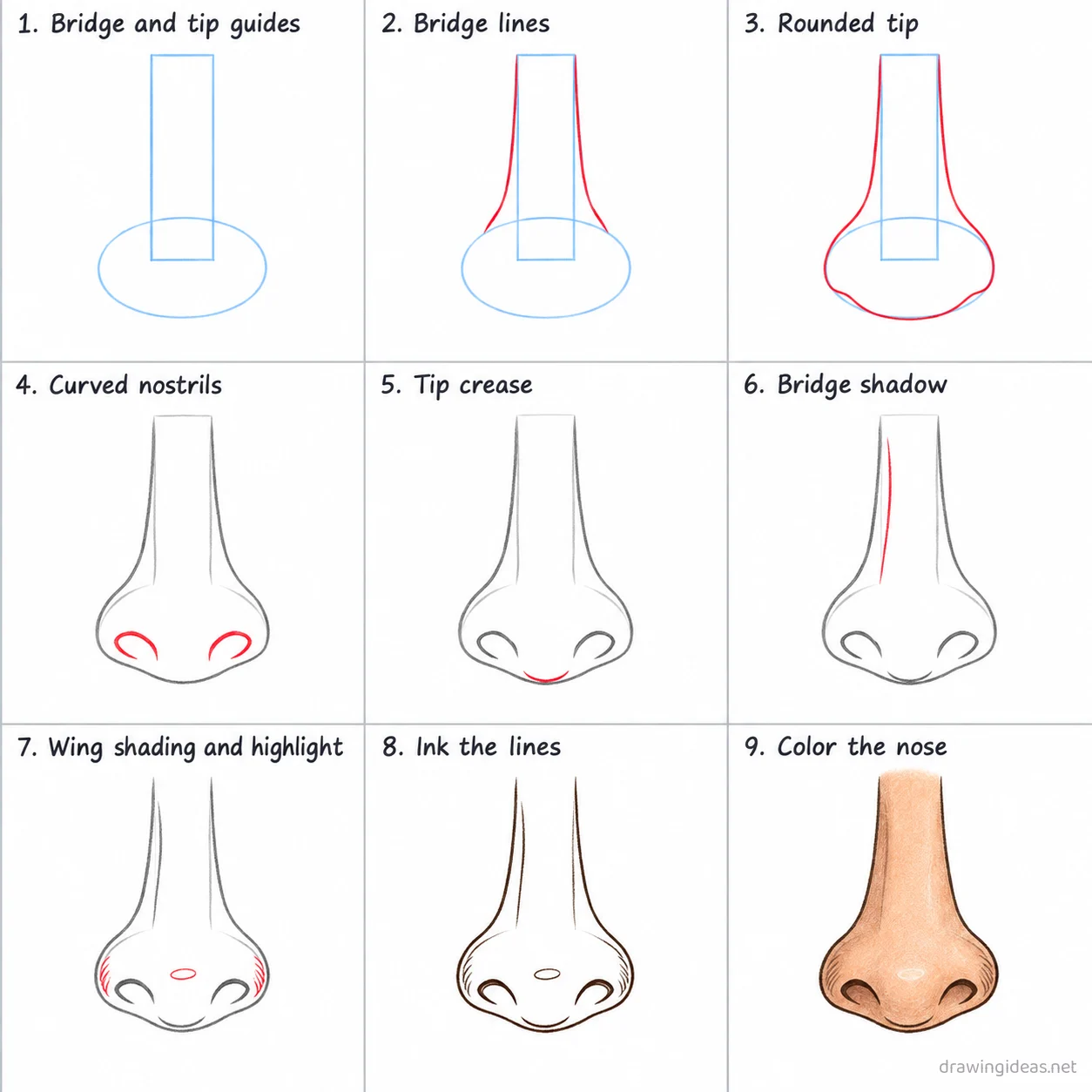 How to draw a nose step by step — 9-step nose drawing tutorial sheet