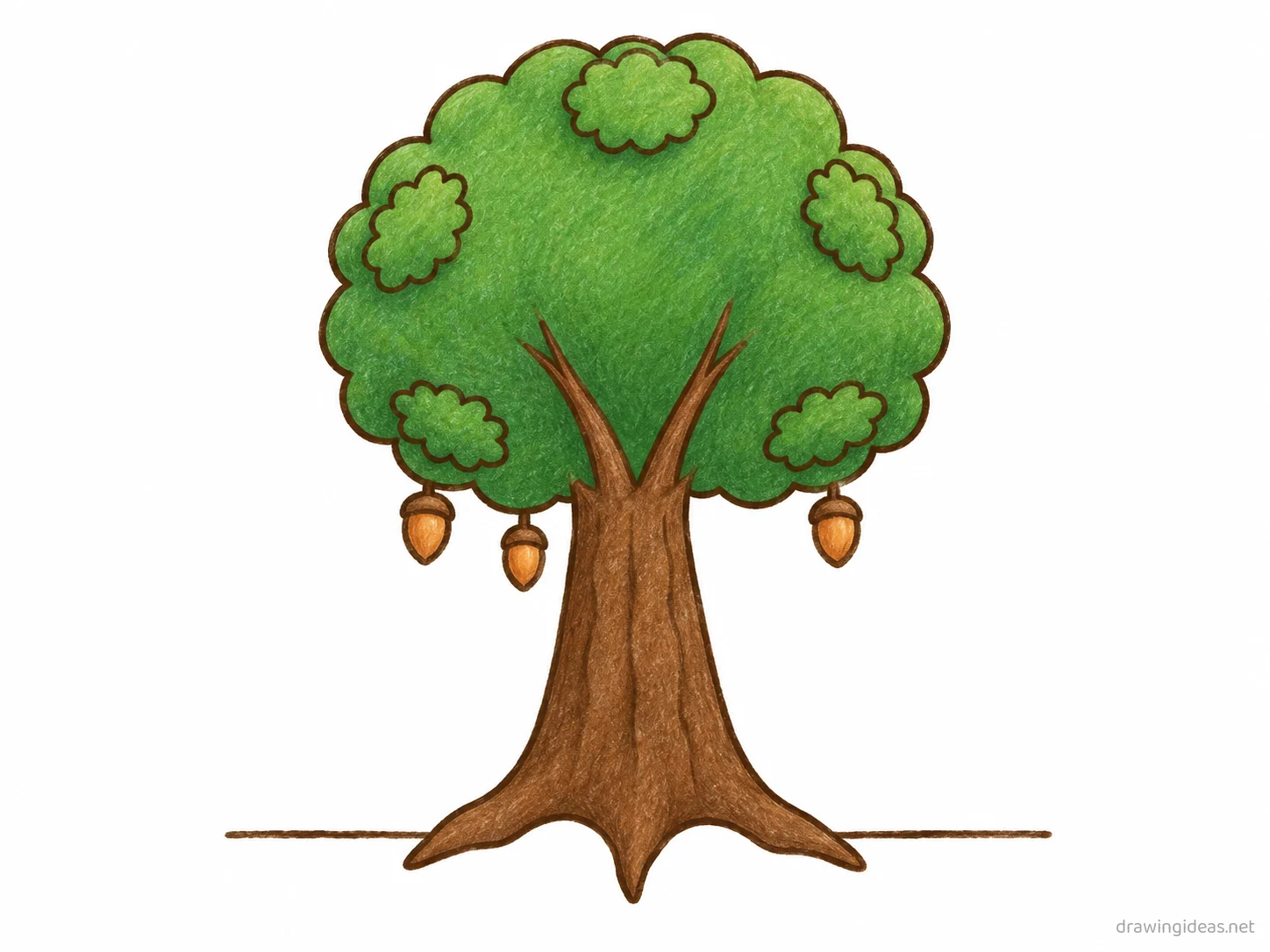 Oak Tree drawing — hand-drawn oak tree illustration with ink lines and soft colors