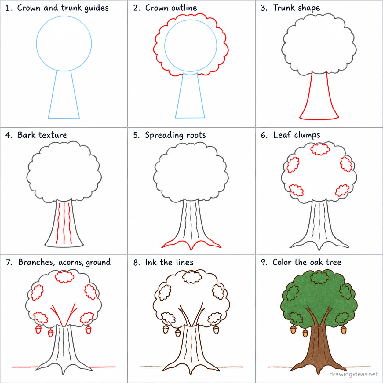 How to draw an oak tree step by step — 9-step oak tree drawing tutorial sheet
