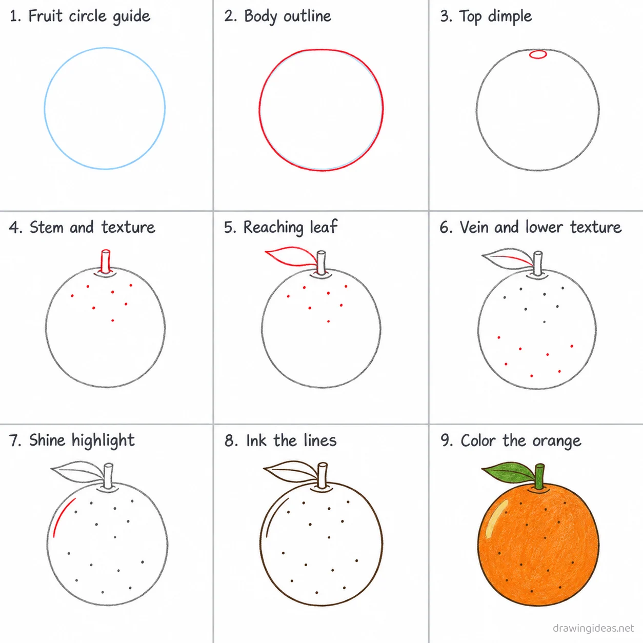 How to draw an orange step by step — 9-step orange drawing tutorial sheet
