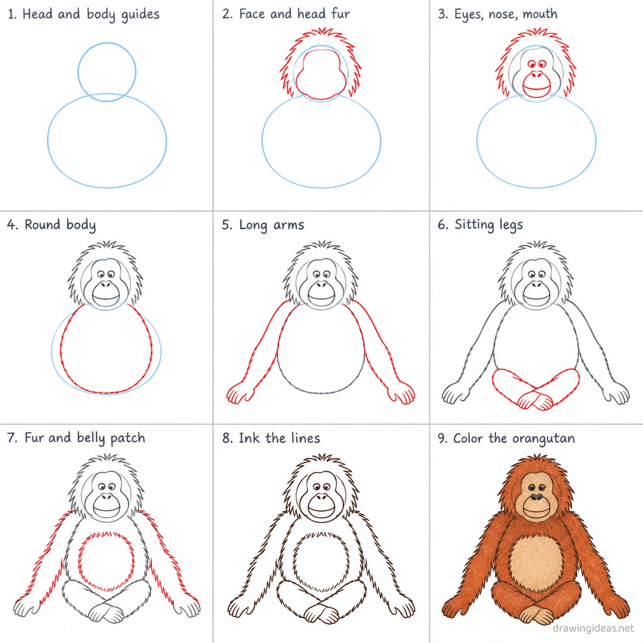 How to draw an orangutan step by step — 9-step orangutan drawing tutorial sheet