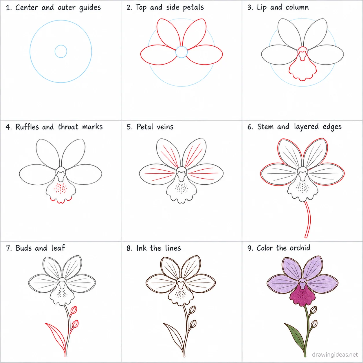 How to draw an orchid step by step — 9-step orchid drawing tutorial sheet