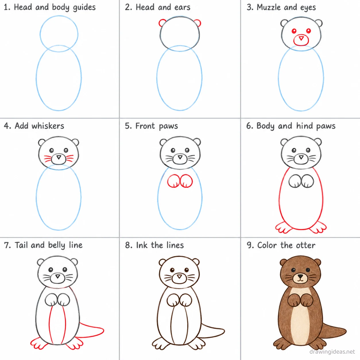 How to draw an otter step by step — 9-step otter drawing tutorial sheet