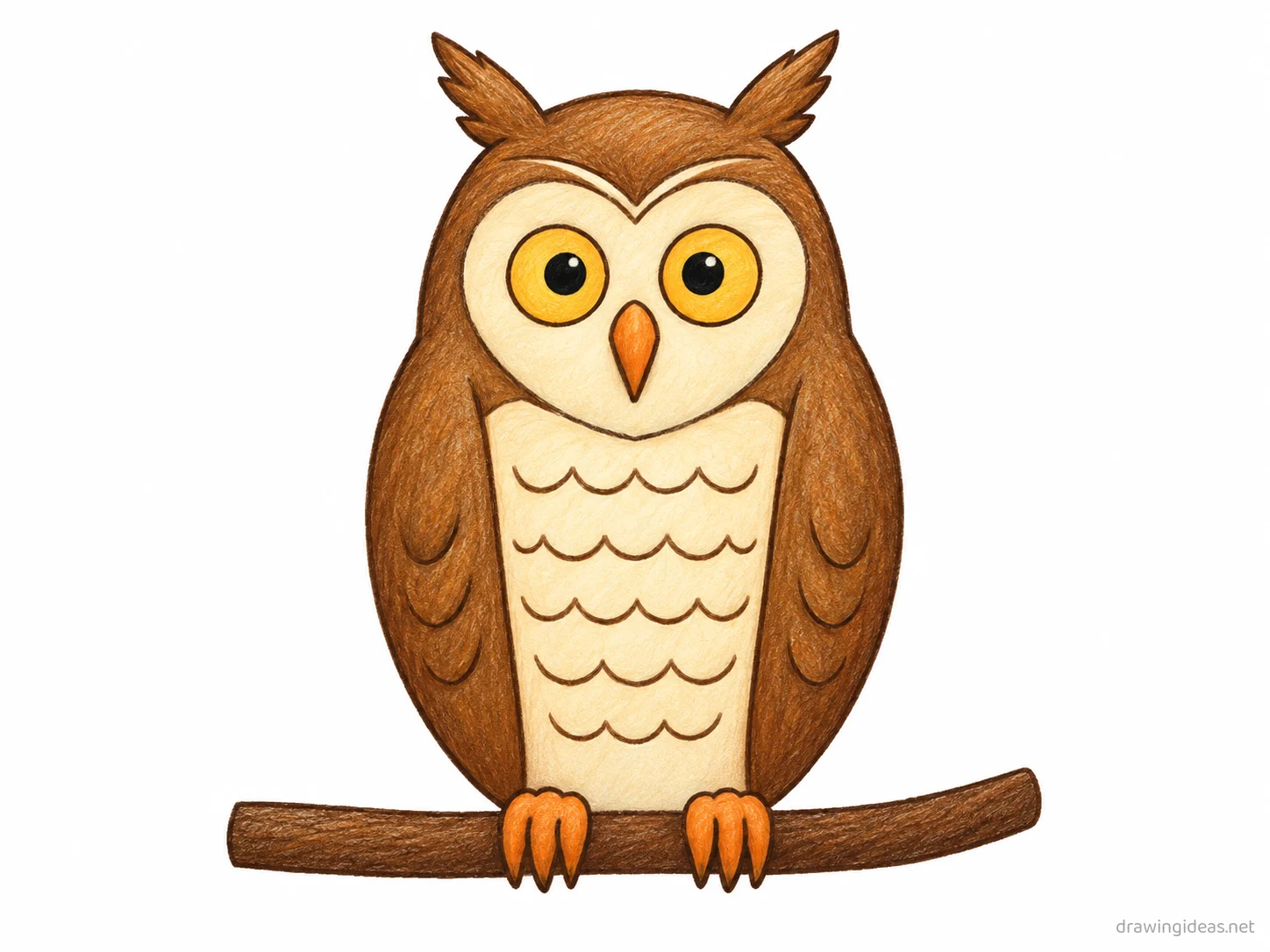 Owl drawing — hand-drawn owl illustration with ink lines and soft colors