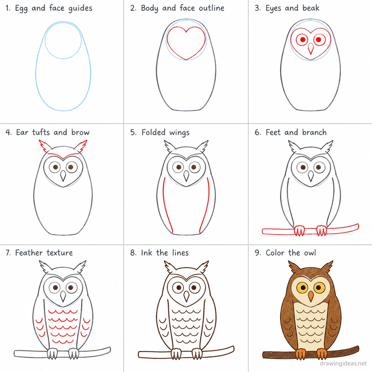 How to draw an owl step by step — 9-step owl drawing tutorial sheet