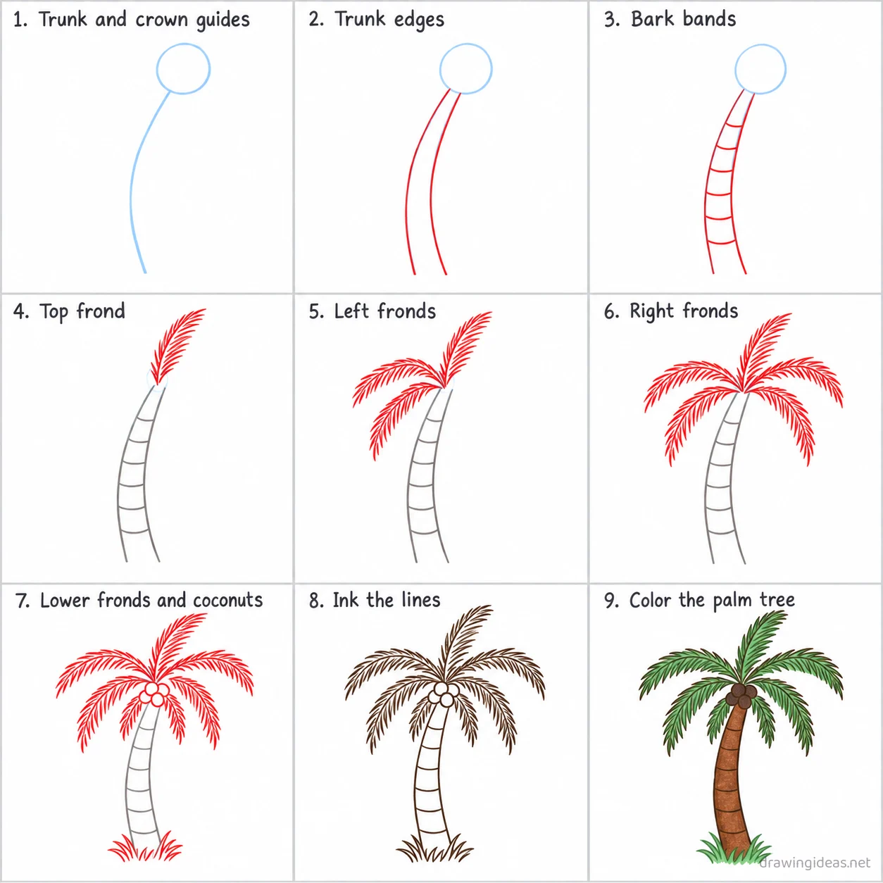 How to draw a palm tree step by step — 9-step palm tree drawing tutorial sheet