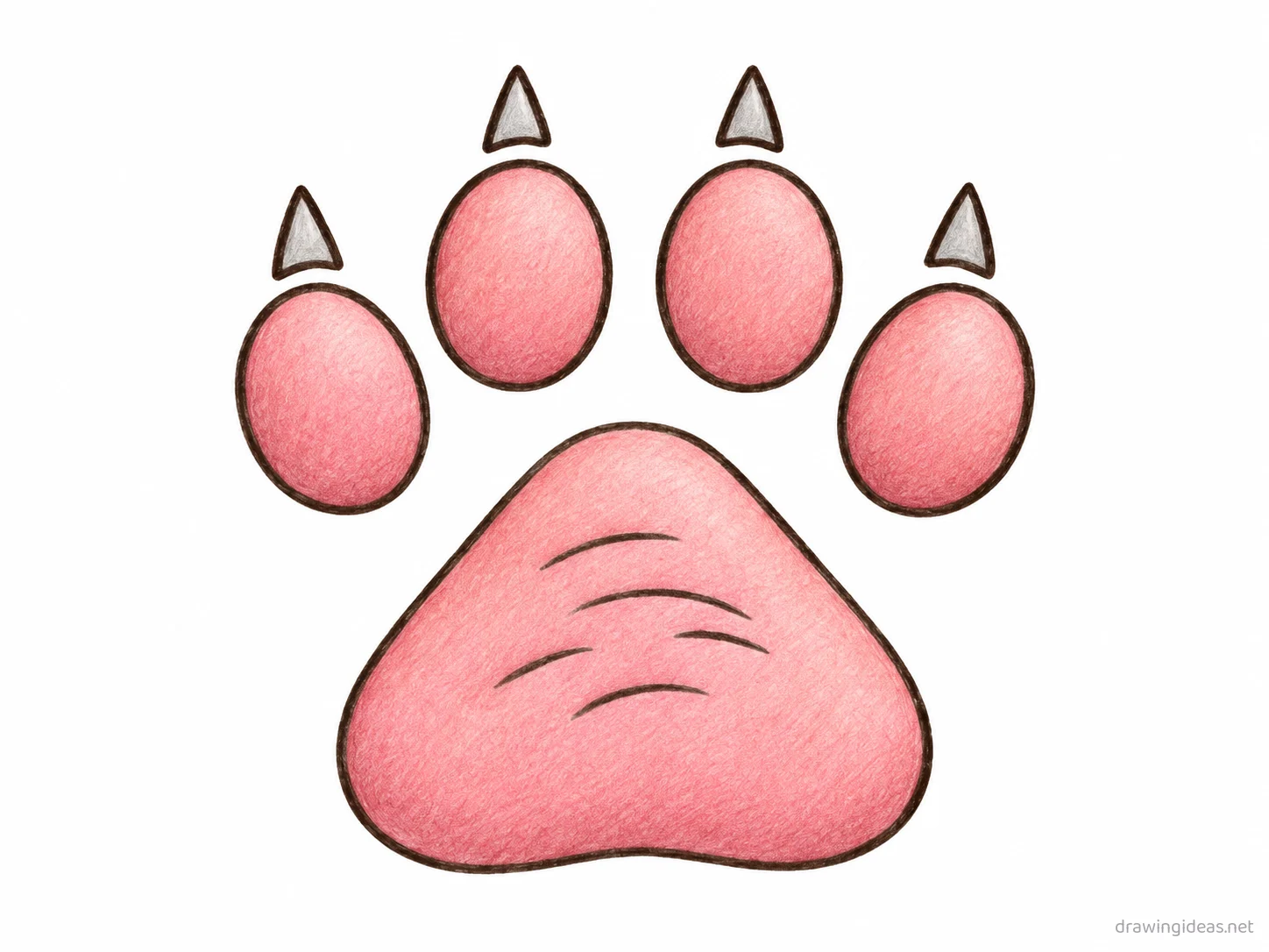 Paw drawing — hand-drawn paw illustration with ink lines and soft colors