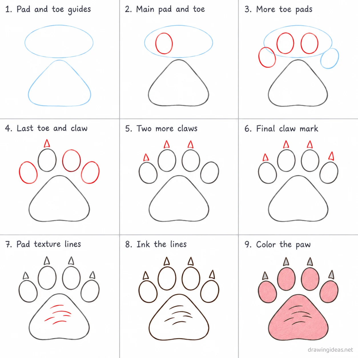 How to draw a paw step by step — 9-step paw drawing tutorial sheet