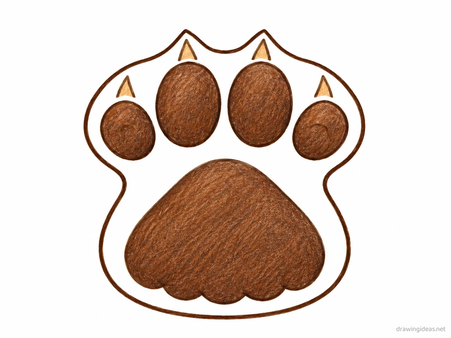 Paw Print drawing — hand-drawn paw print illustration with ink lines and soft colors