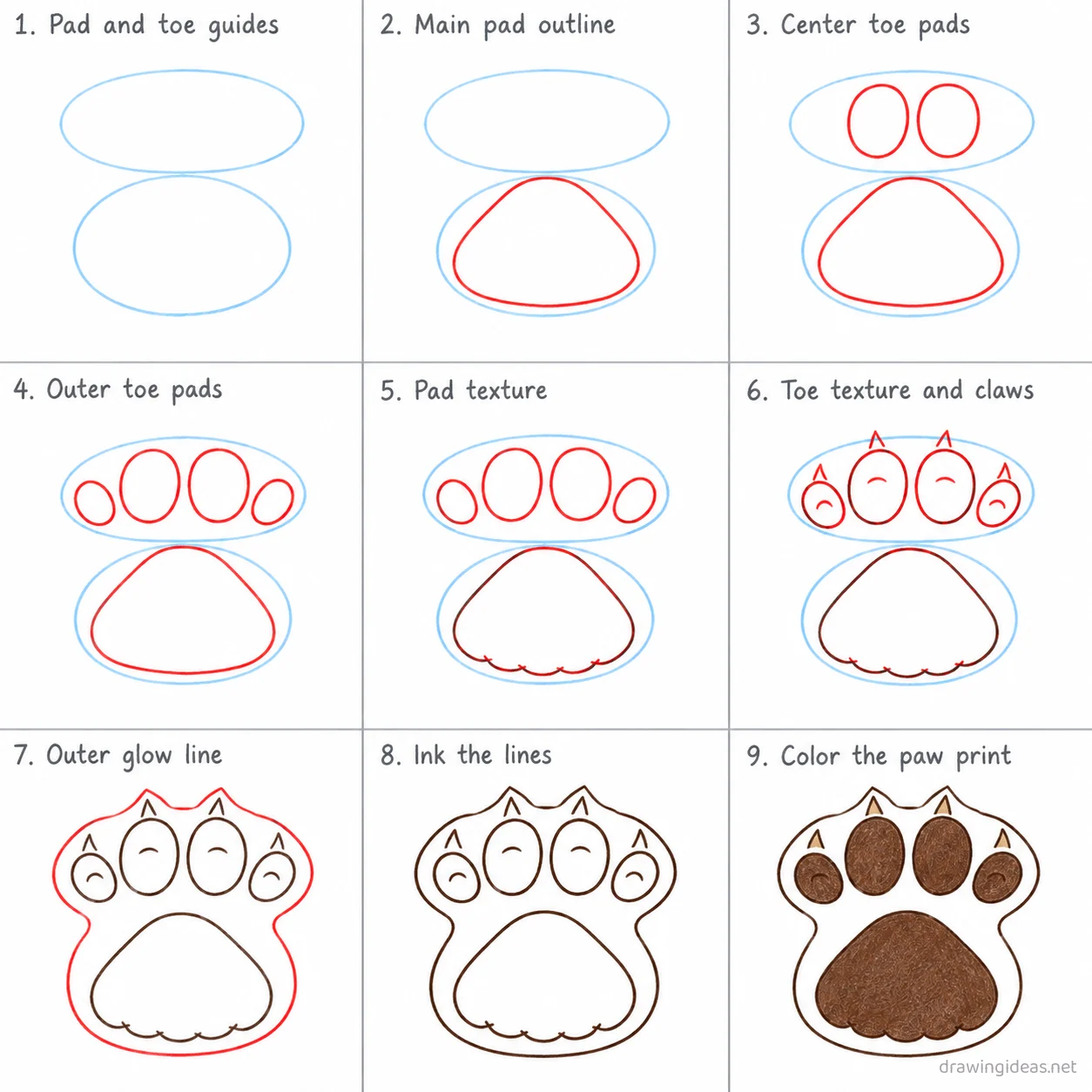 How to draw a paw print step by step — 9-step paw print drawing tutorial sheet