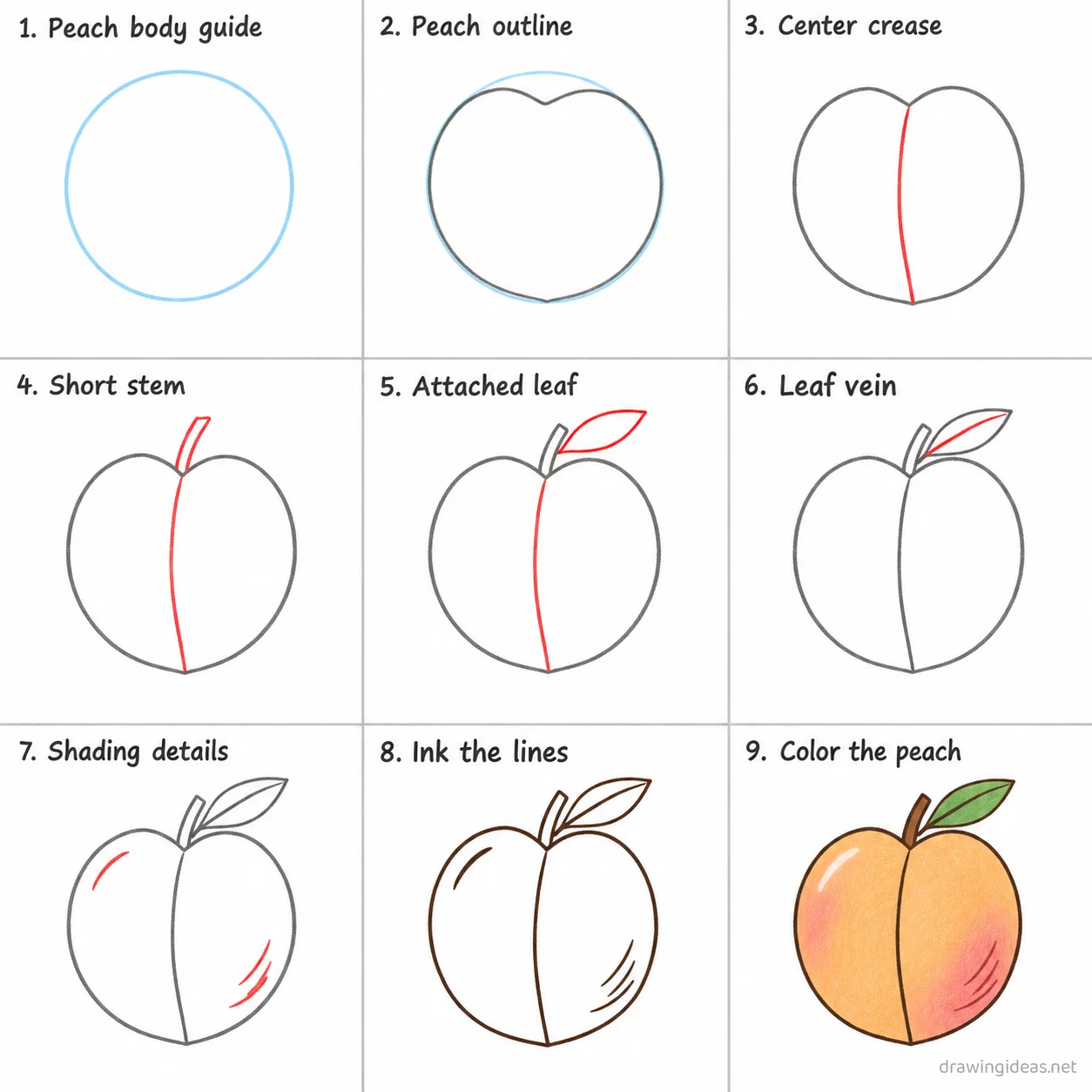 How to draw a peach step by step — 9-step peach drawing tutorial sheet