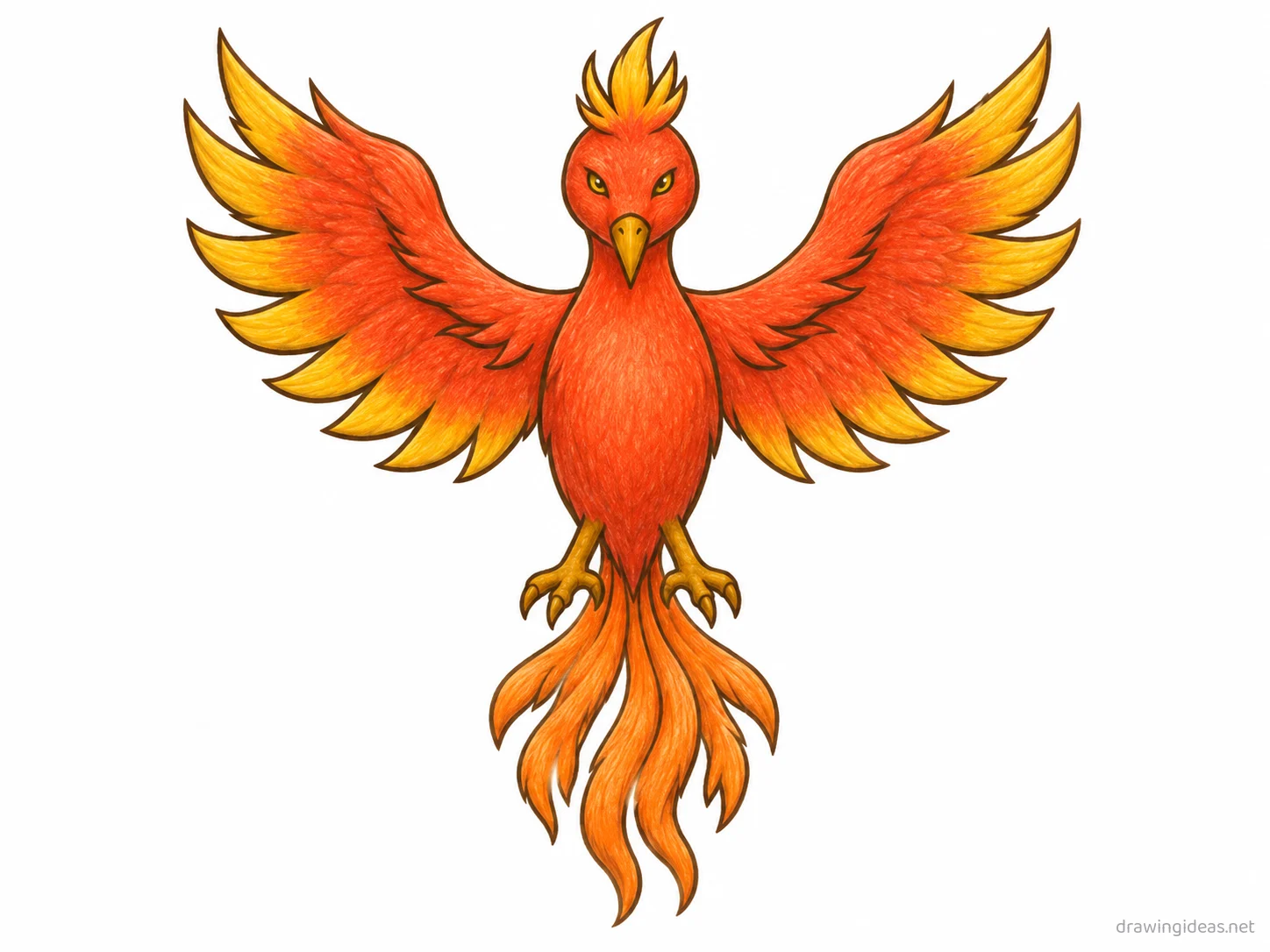 Phoenix drawing — hand-drawn phoenix illustration with ink lines and soft colors