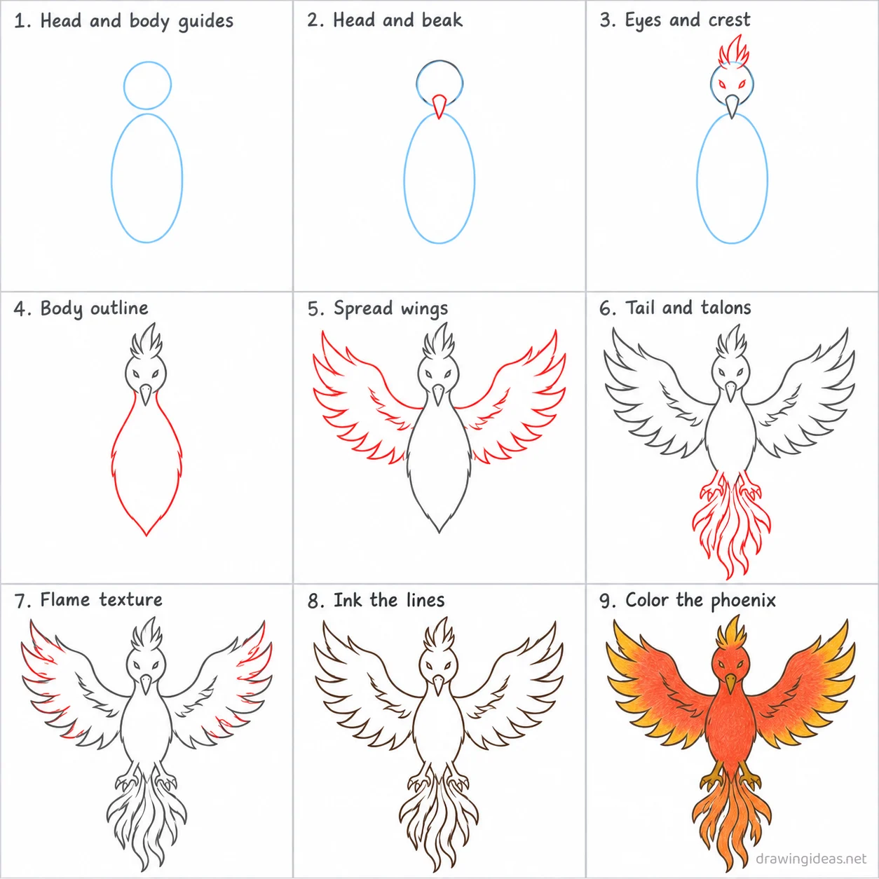 How to draw a phoenix step by step — 9-step phoenix drawing tutorial sheet