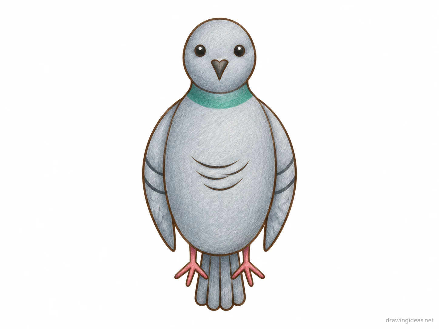 Pigeon drawing — hand-drawn pigeon illustration with ink lines and soft colors