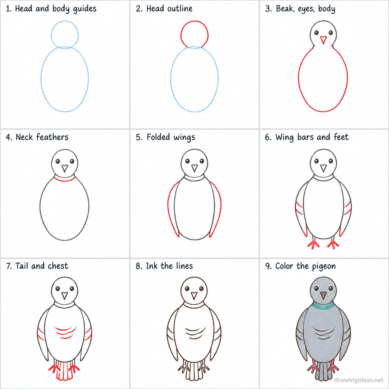 How to draw a pigeon step by step — 9-step pigeon drawing tutorial sheet