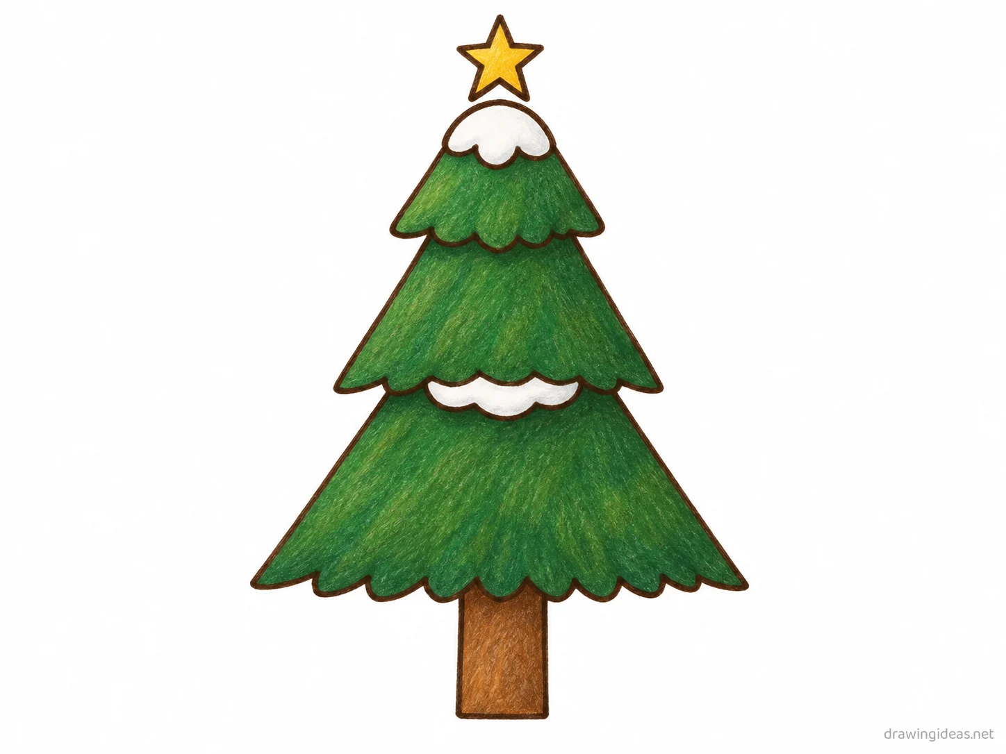 Pine Tree drawing — hand-drawn pine tree illustration with ink lines and soft colors
