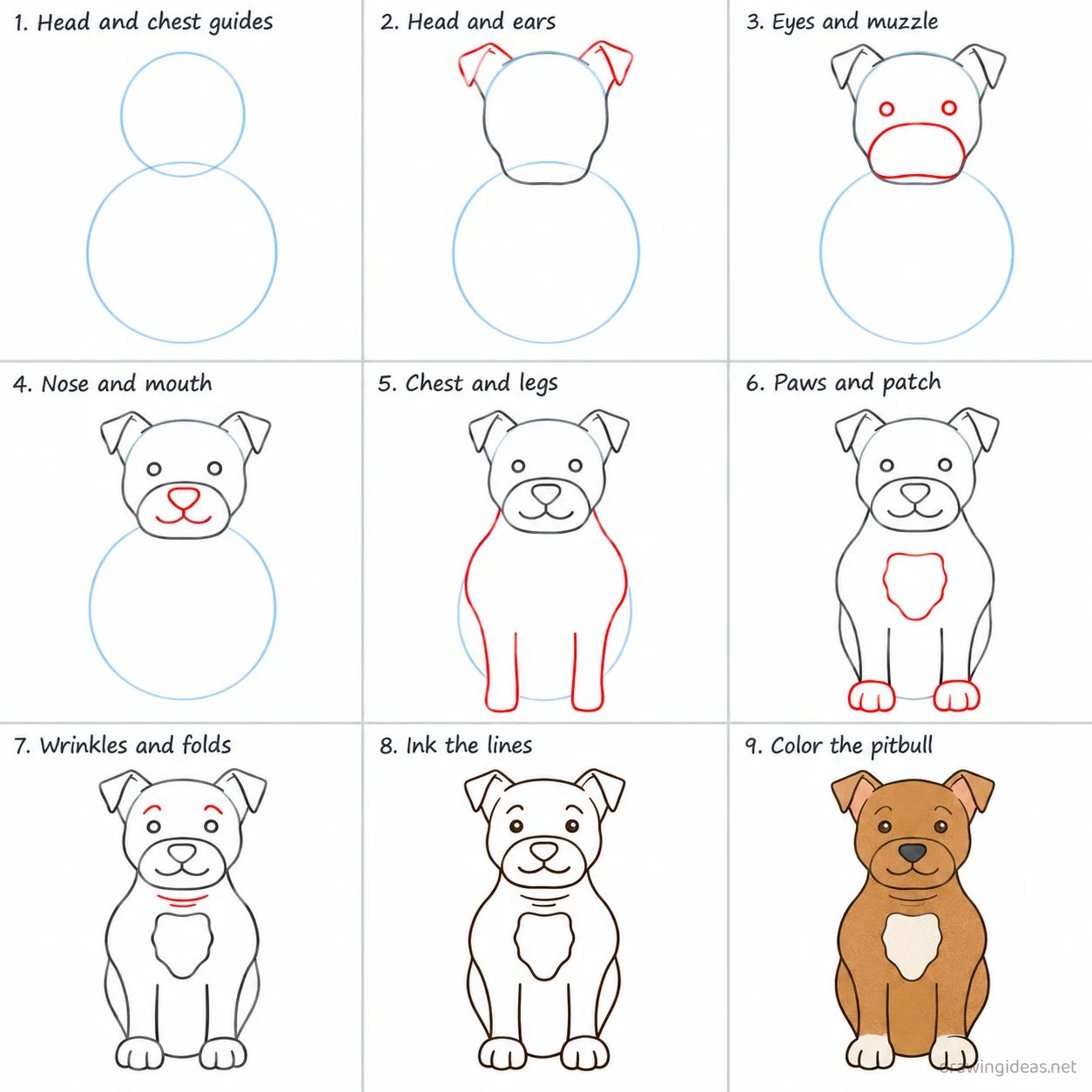How to draw a pitbull step by step — 9-step pitbull drawing tutorial sheet