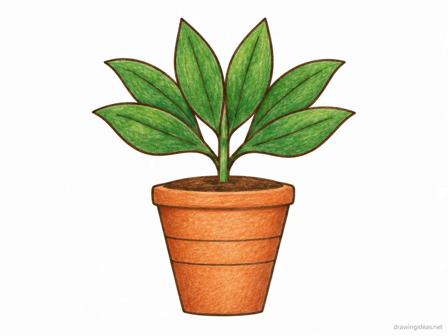 Plant drawing — hand-drawn plant illustration with ink lines and soft colors