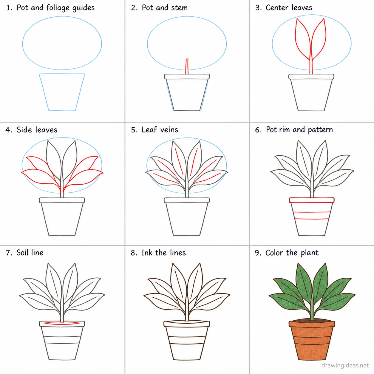 How to draw a plant step by step — 9-step plant drawing tutorial sheet