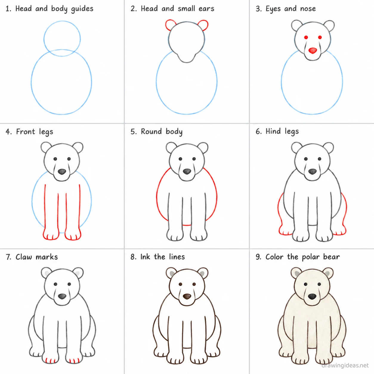 How to draw a polar bear step by step — 9-step polar bear drawing tutorial sheet