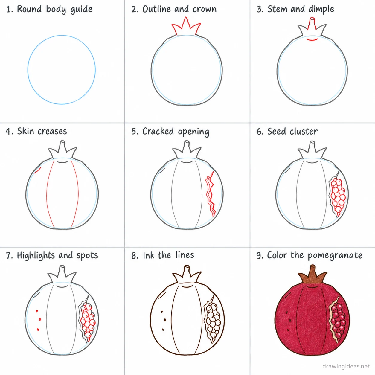 How to draw a pomegranate step by step — 9-step pomegranate drawing tutorial sheet