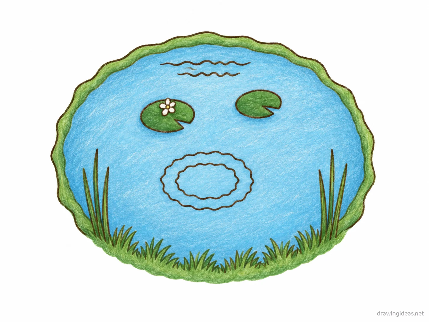 Pond drawing — hand-drawn pond illustration with ink lines and soft colors