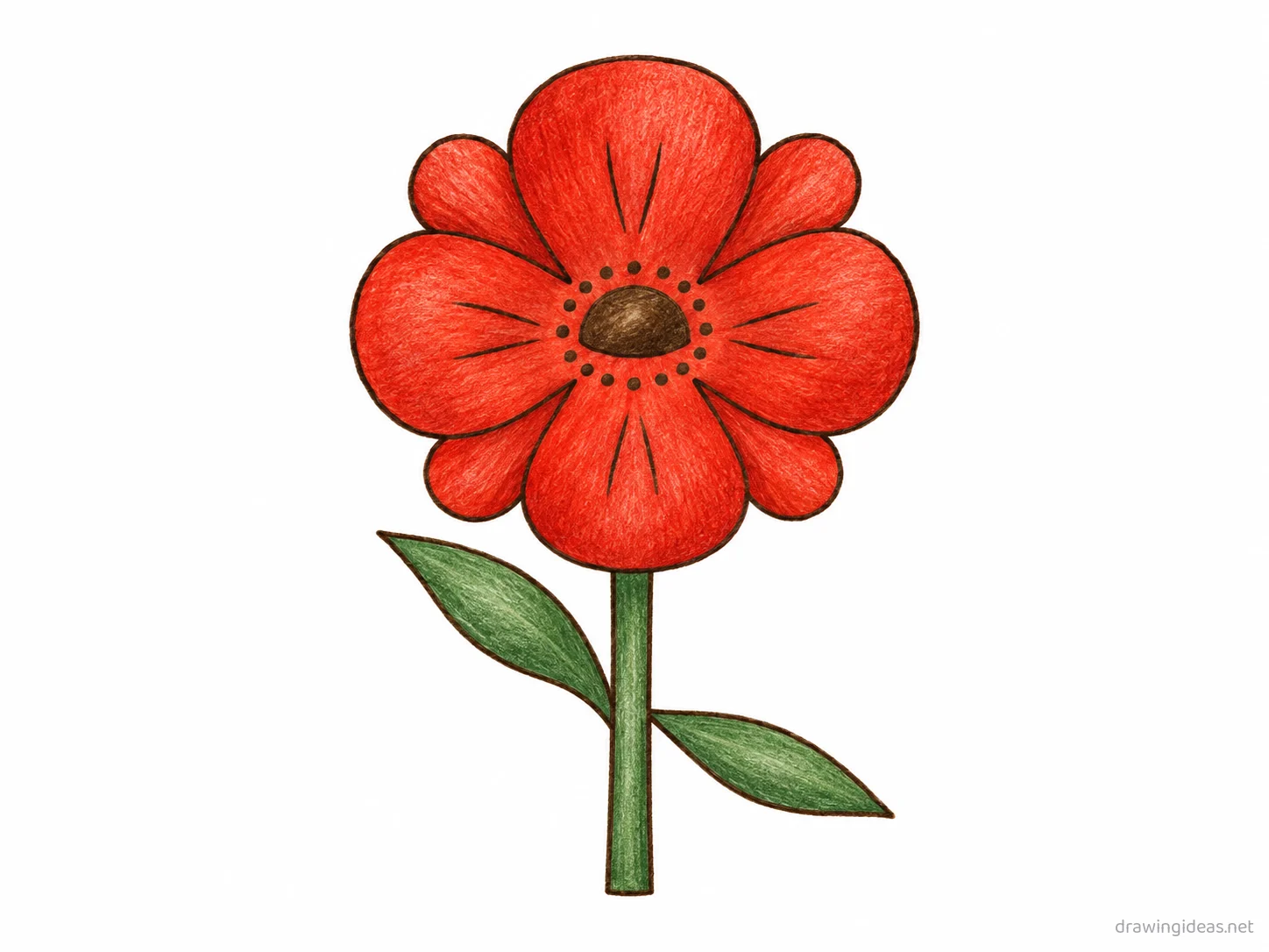 Poppy drawing — hand-drawn poppy illustration with ink lines and soft colors