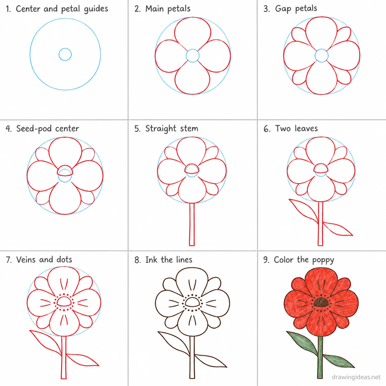 How to draw a poppy step by step — 9-step poppy drawing tutorial sheet