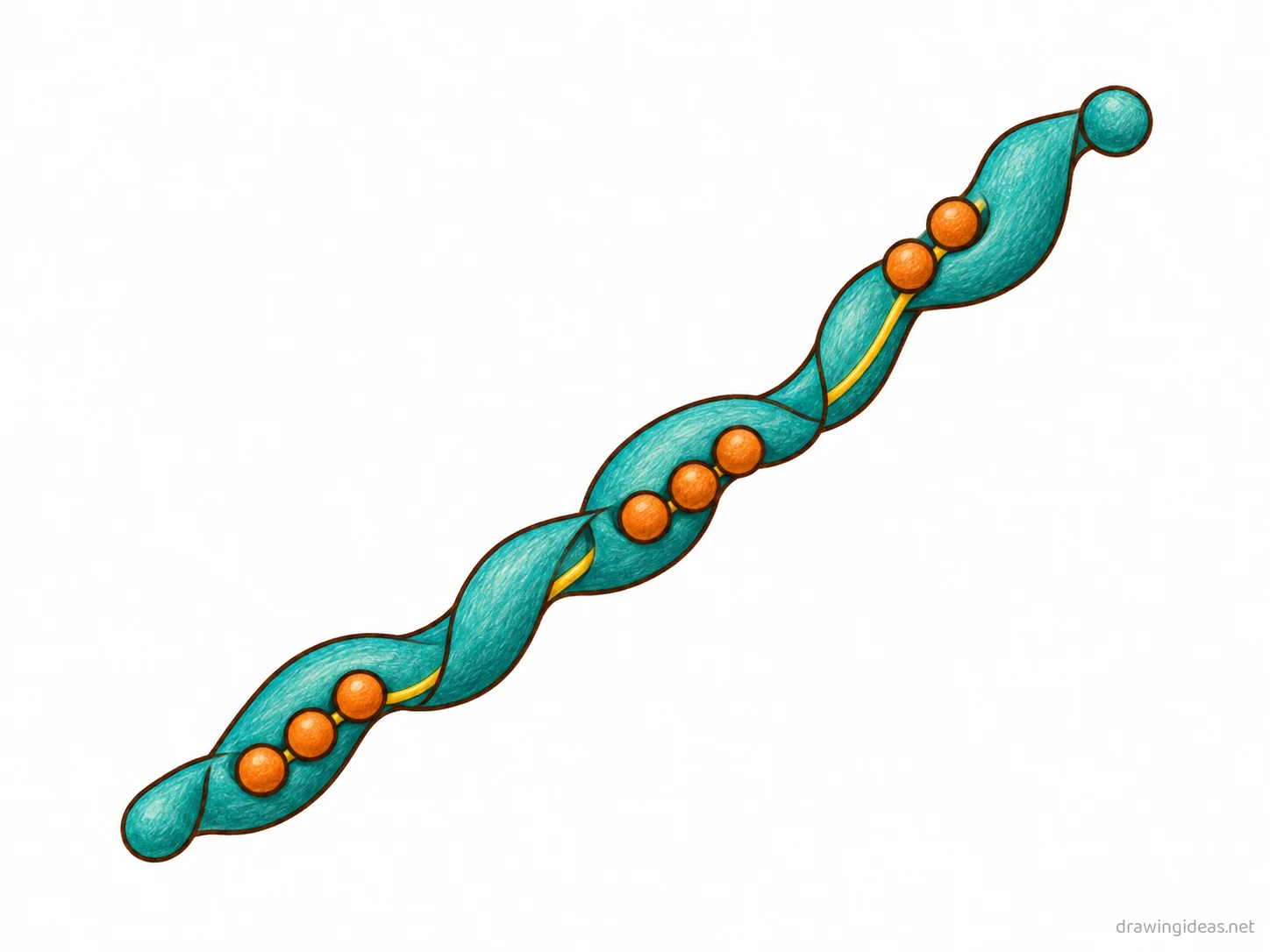 Protein drawing — hand-drawn protein illustration with ink lines and soft colors