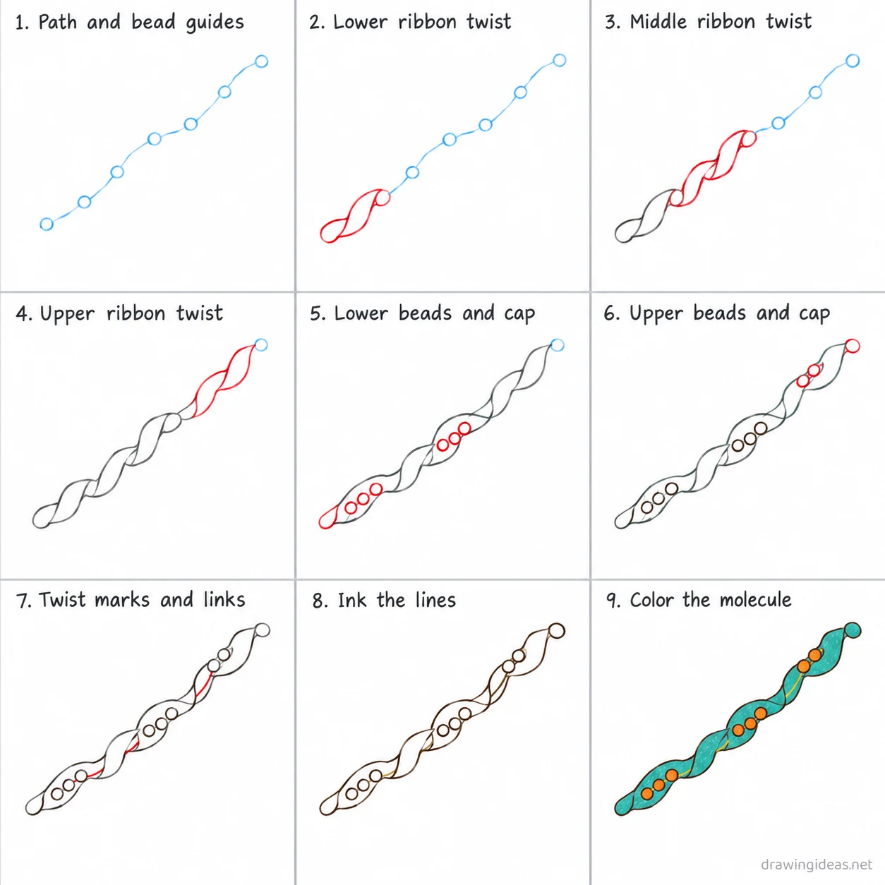 How to draw a protein step by step — 9-step protein drawing tutorial sheet