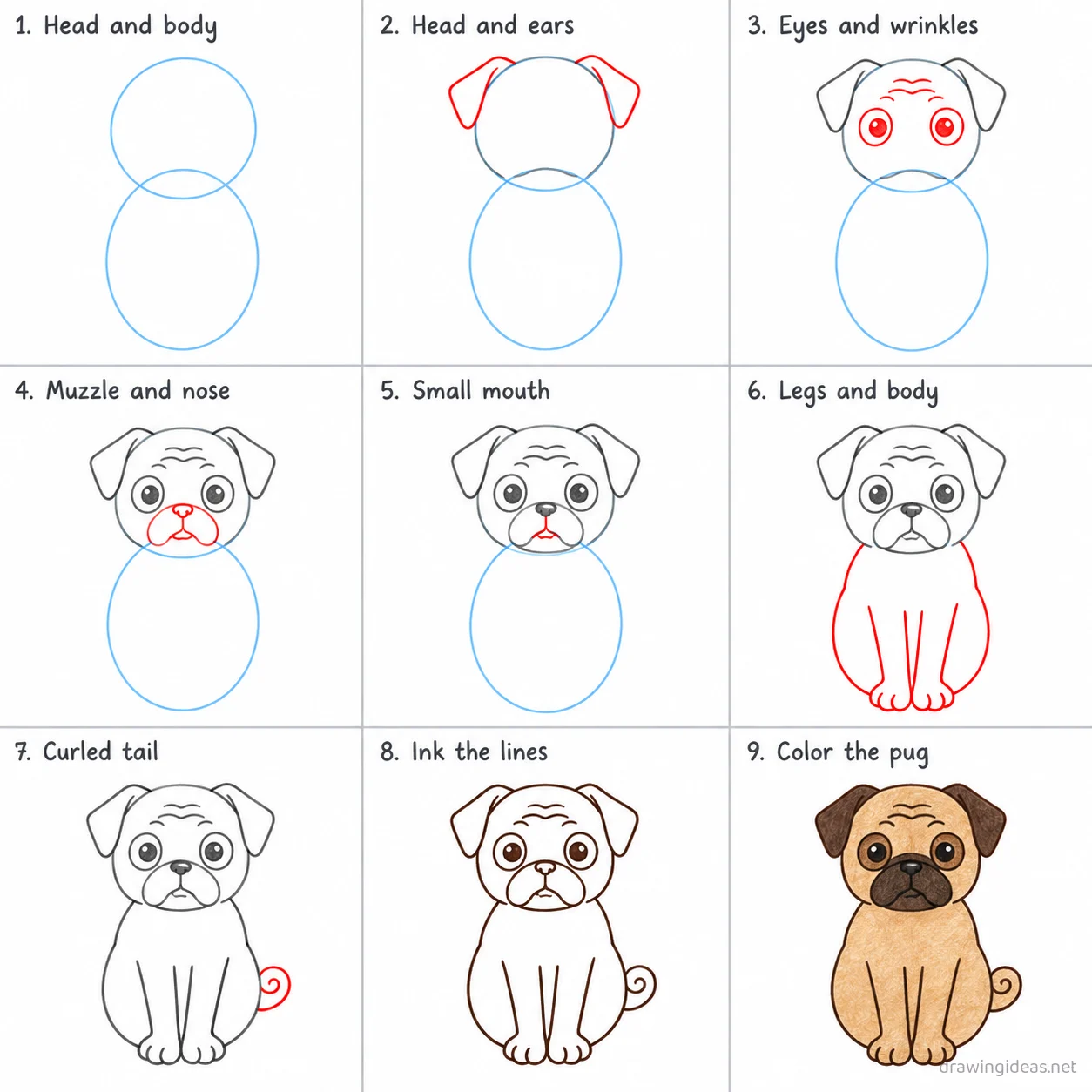 How to draw a pug step by step — 9-step pug drawing tutorial sheet