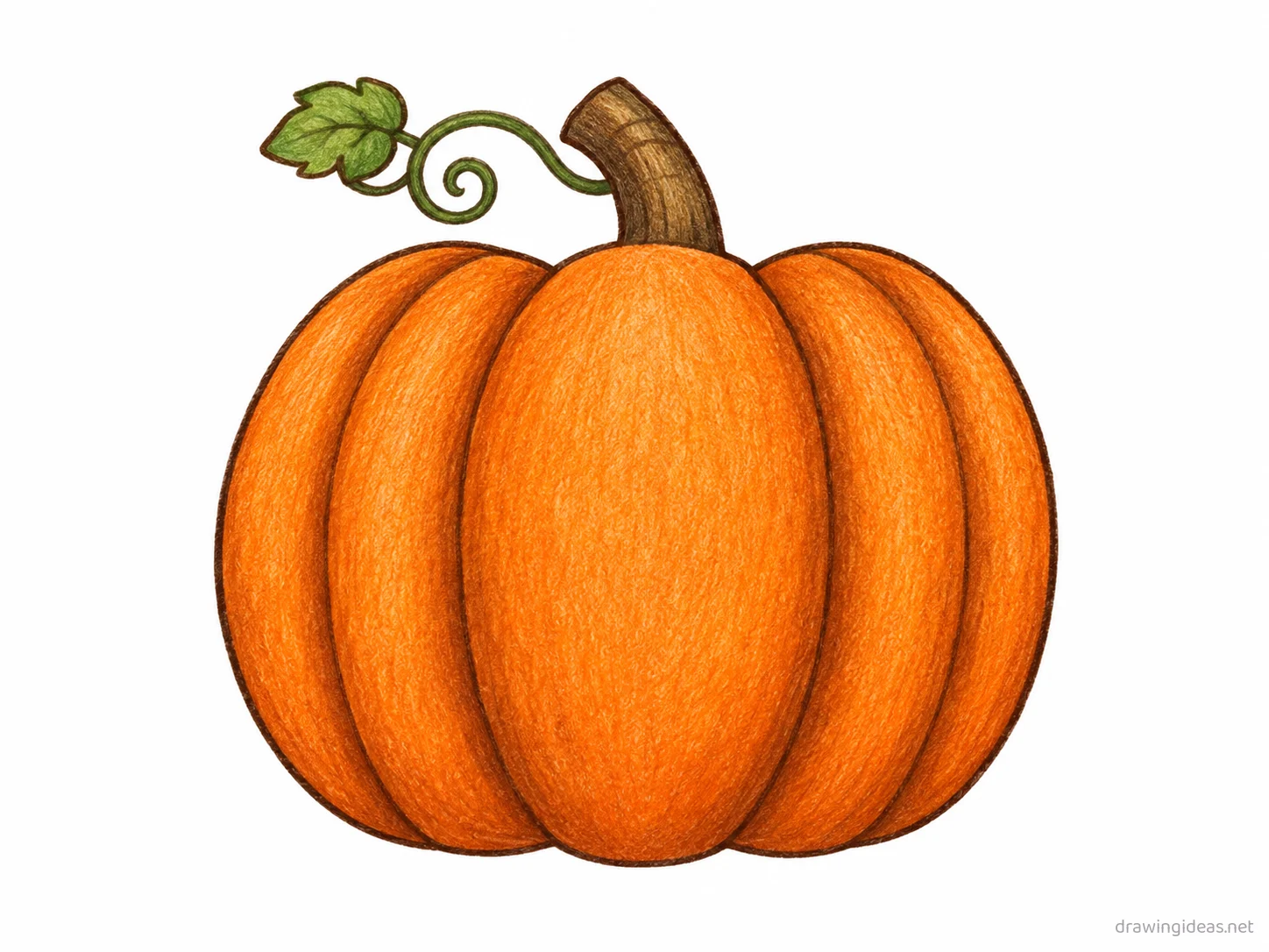 Pumpkin drawing — hand-drawn pumpkin illustration with ink lines and soft colors