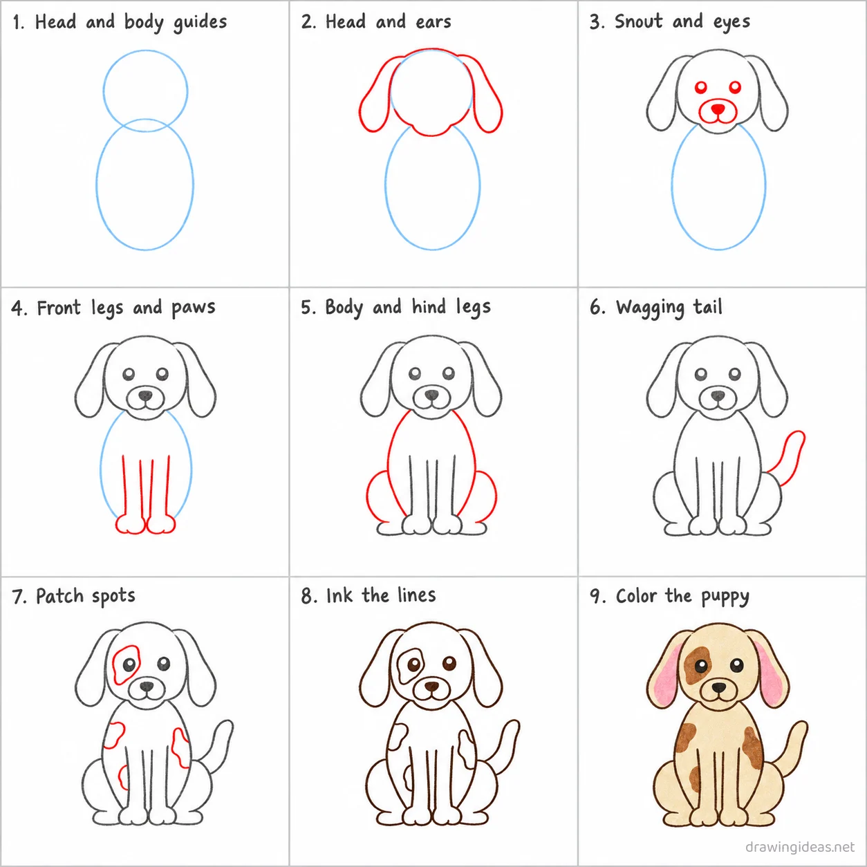 How to draw a puppy step by step — 9-step puppy drawing tutorial sheet