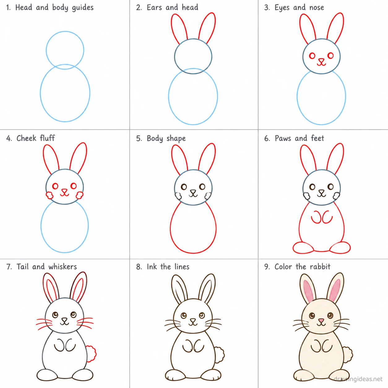 How to draw a rabbit step by step — 9-step rabbit drawing tutorial sheet
