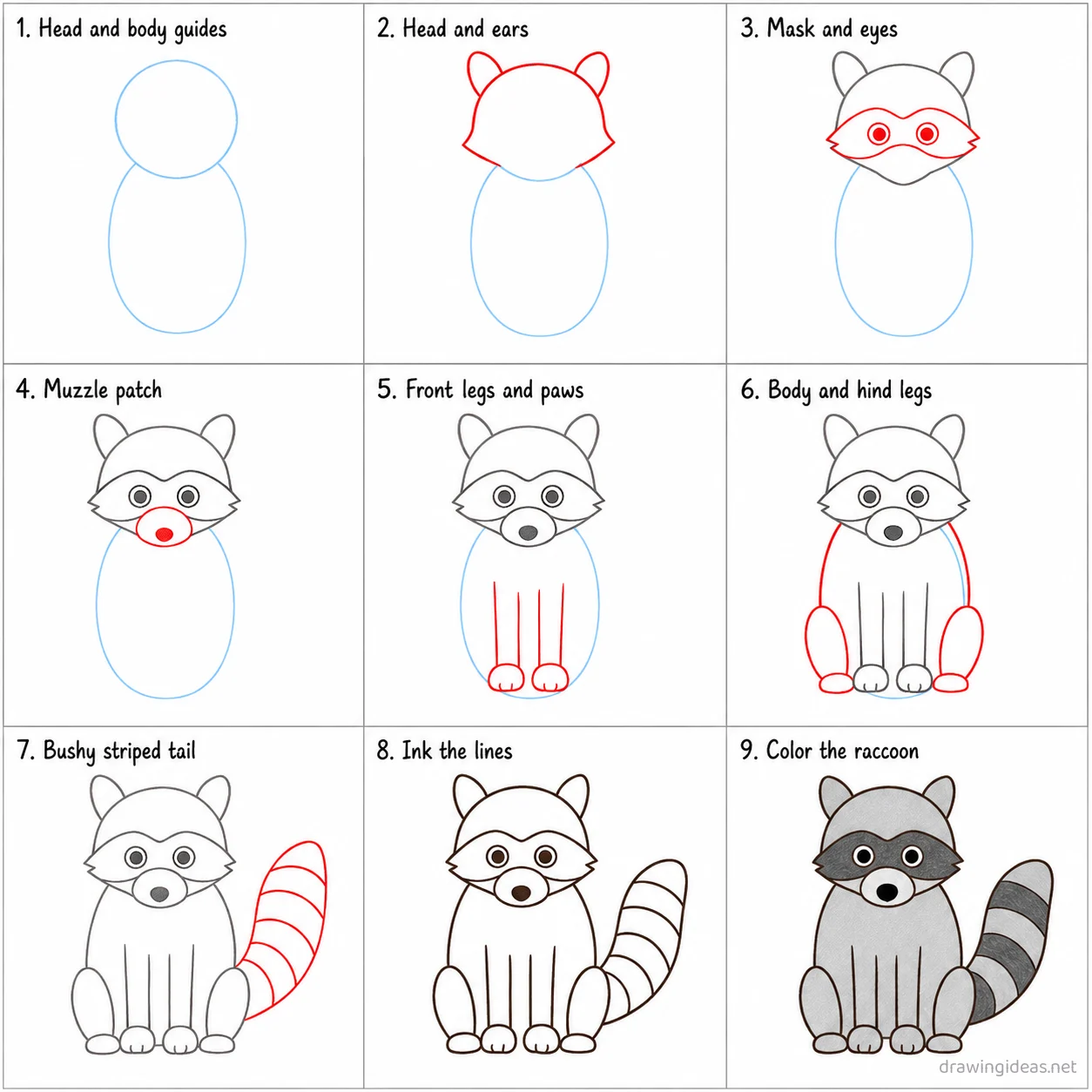 How to draw a raccoon step by step — 9-step raccoon drawing tutorial sheet
