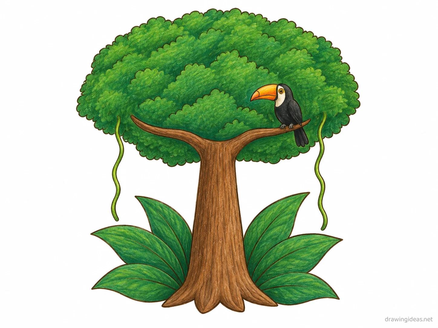 Rainforest drawing — hand-drawn rainforest illustration with ink lines and soft colors