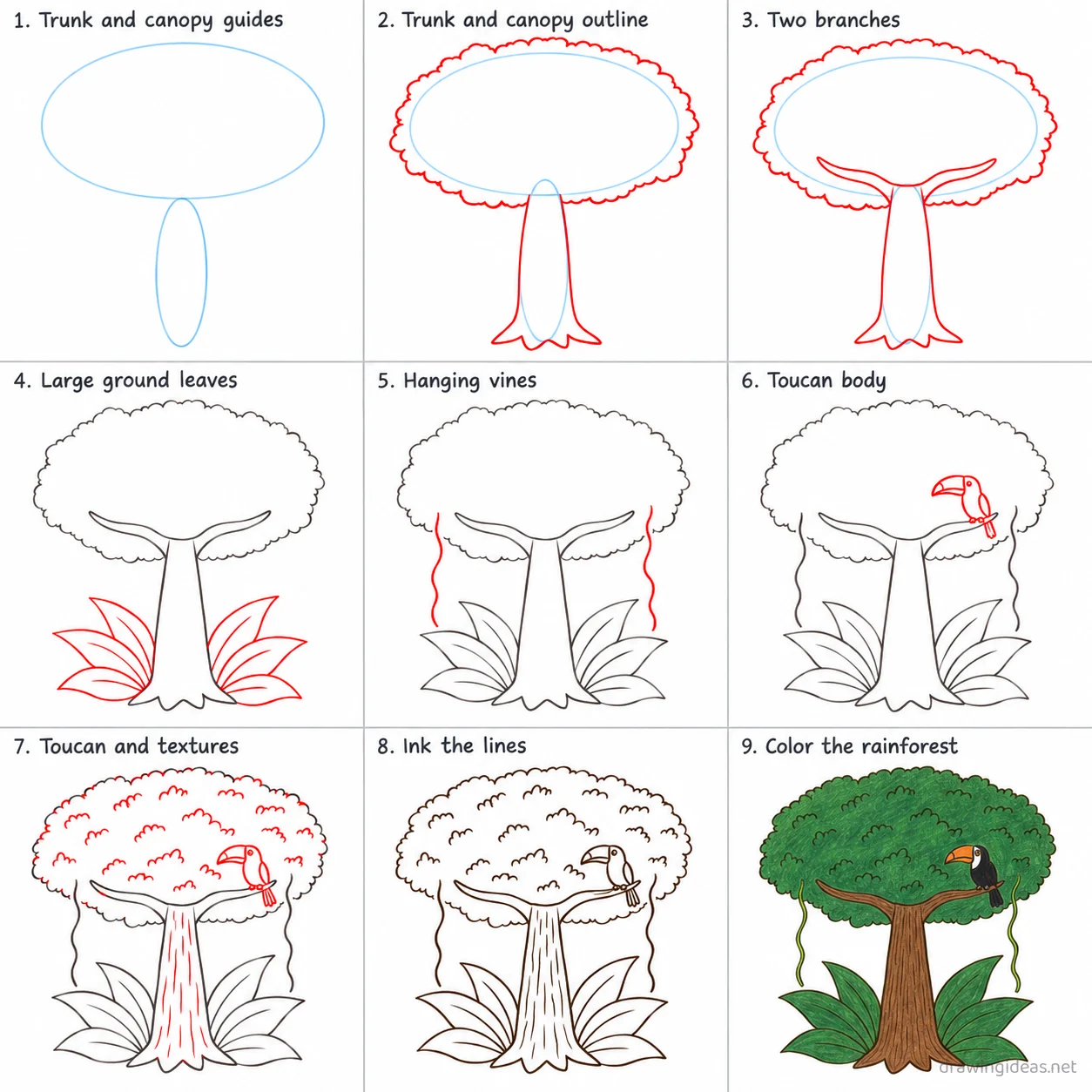 How to draw a rainforest step by step — 9-step rainforest drawing tutorial sheet