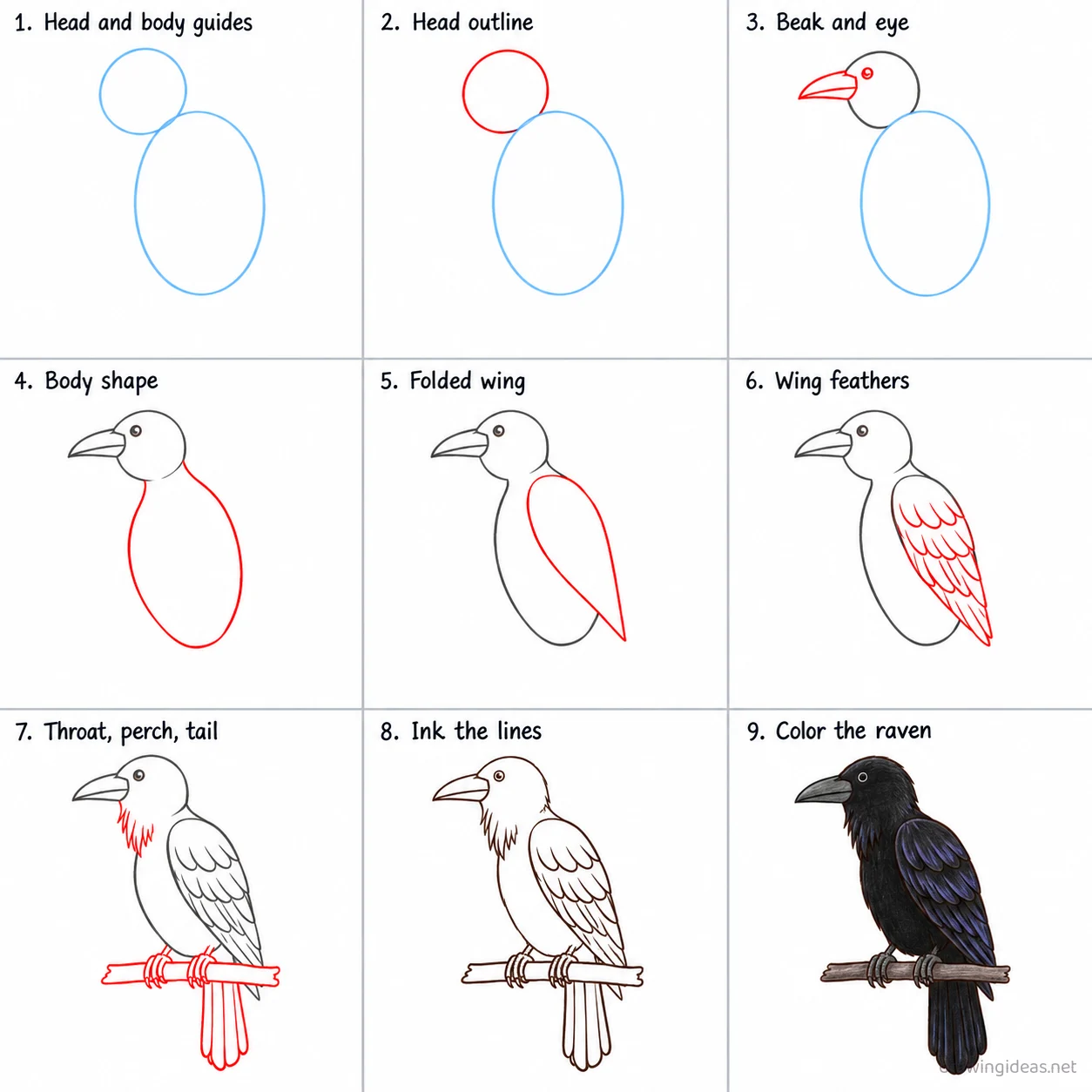How to draw a raven step by step — 9-step raven drawing tutorial sheet