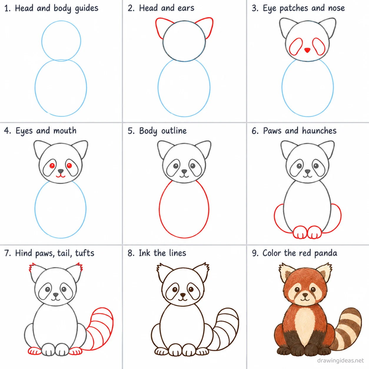 How to draw a red panda step by step — 9-step red panda drawing tutorial sheet